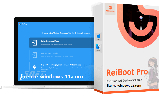 licence-windows-11.com
